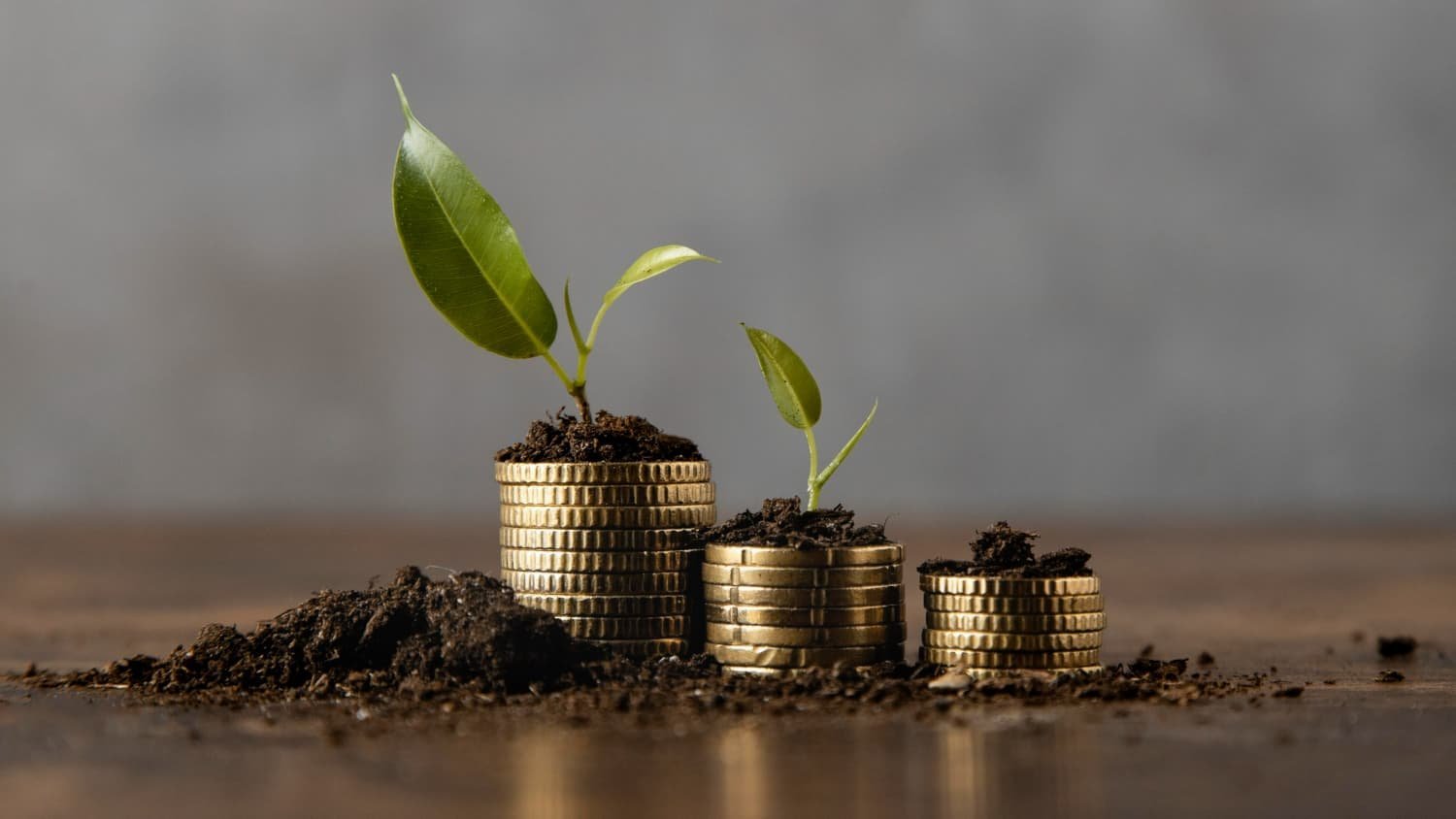 Introduction to Business Wealth Management for SMBs