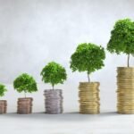 Intro to Free Cash Flows and Business-Friendly Investments