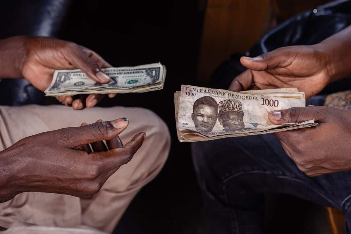 Tinubu's Tax Tightrope: Will Windfall Profits on Forex Save Naira or Spook Investors?