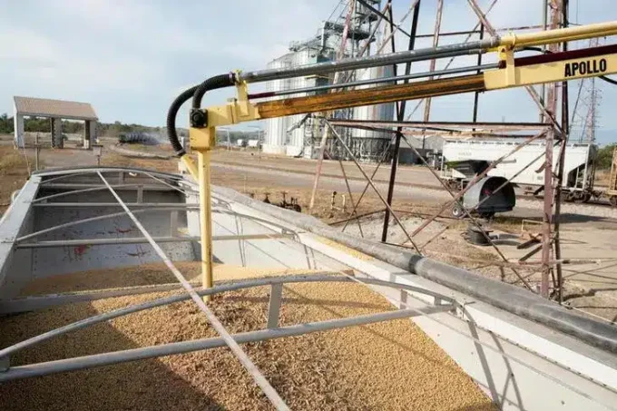 Saudi Arabia Seeks Nigerian Red Meat and Soybean Imports Amid Economic Diversification Efforts