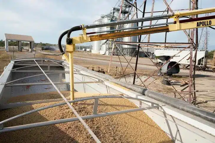 Saudi Arabia Seeks Nigerian Red Meat and Soybean Imports Amid Economic Diversification Efforts