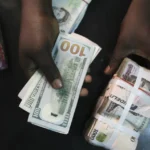Central Bank of Nigeria Injects $876 Million into Forex Market to Enhance Liquidity: A Strategic Move to Stabilize the Naira and Support Economic Growth