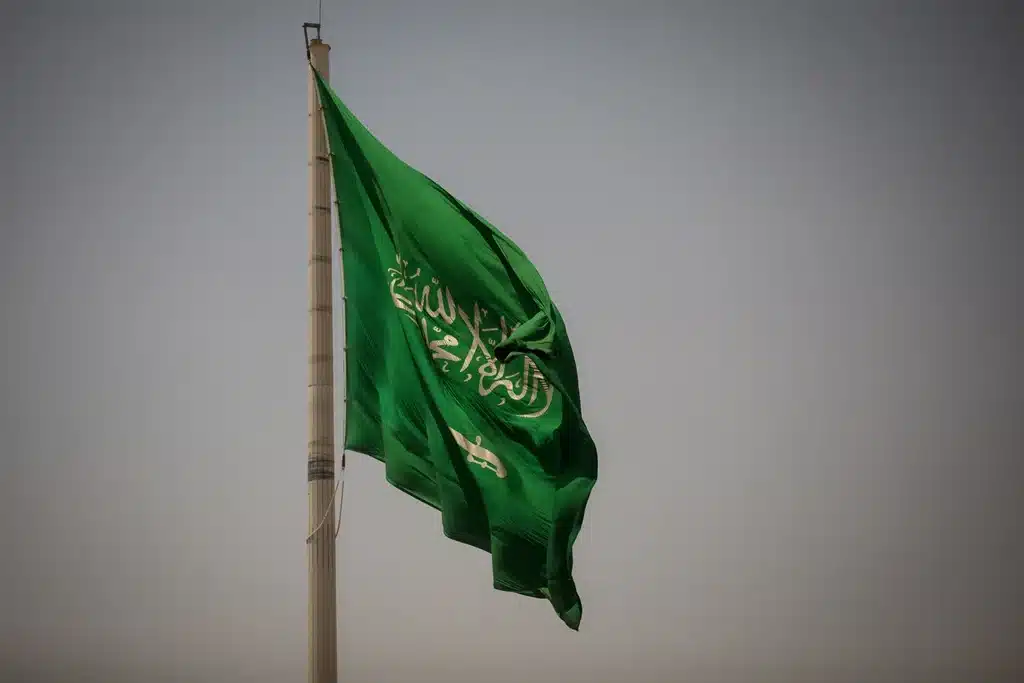 Saudi Arabia Offers Credit Deal to South Africa to Boost Trade