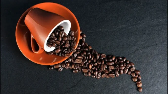 Africa Coffee Summit in Dar Es Salaam: Transforming the Coffee Value Chain in Africa