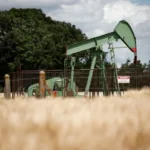 Oil Prices Fall 2% to 12-Week Low as OPEC+ Prepares to Boost Output Amid Global Uncertainty