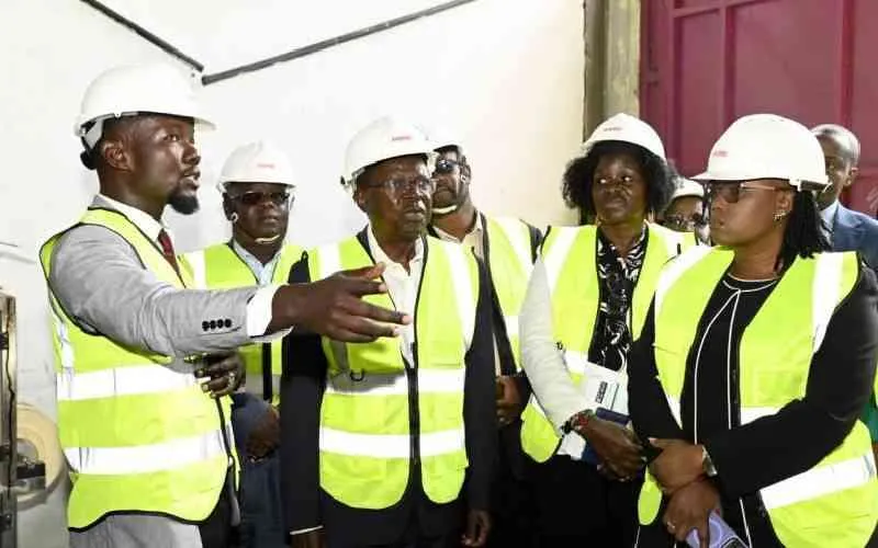 KDC and Timber Treatment International Forge a Green Future with New Biomass Steam Plant
