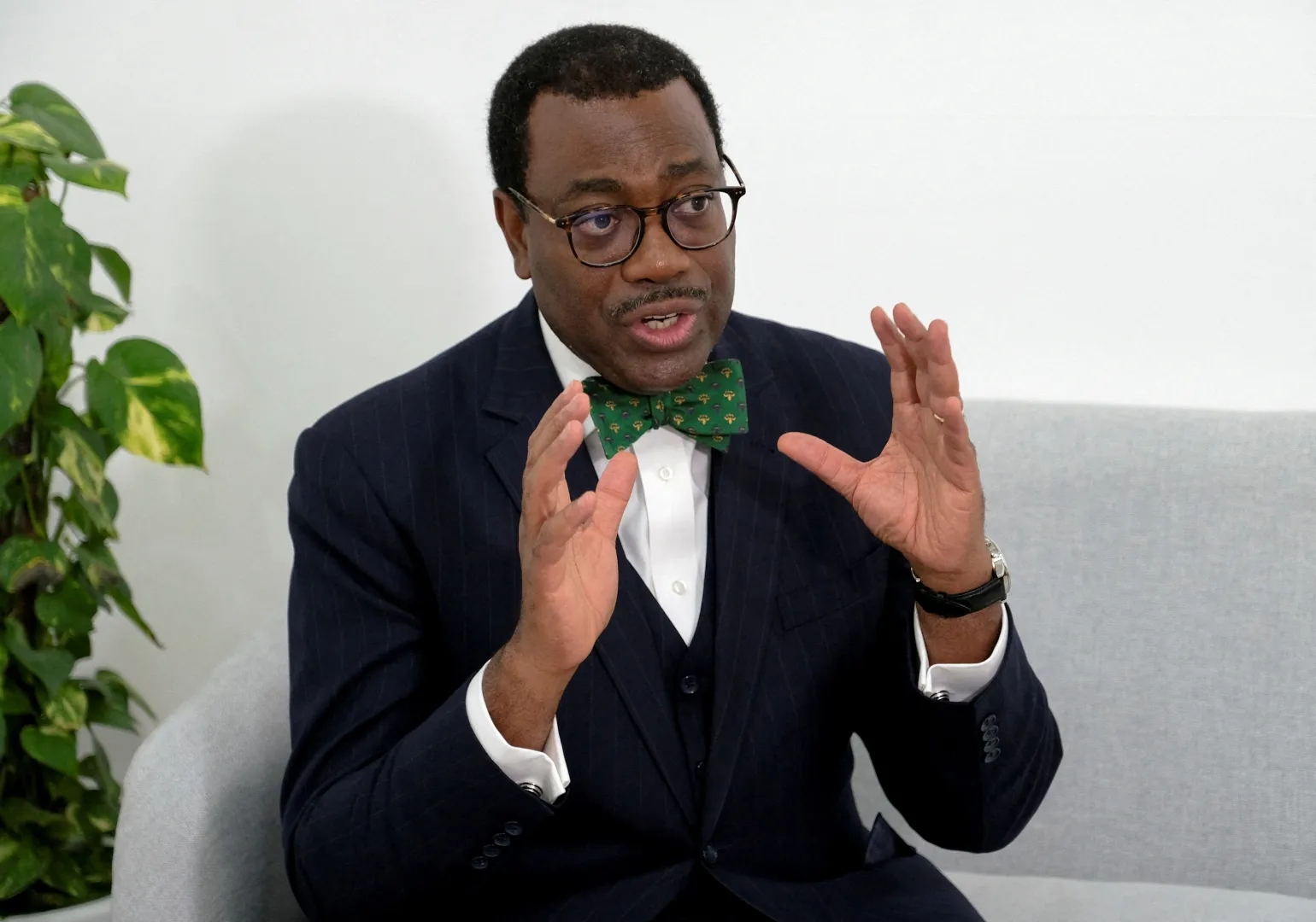 African Development Bank Seeks $2.2 Billion to Empower Nigeria's Agriculture and Strengthen Food Security