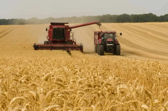 US Wheat Prices Soar Over 4% Amidst Weather Worries and Robust Export Demand, Lifting Corn and Soy Futures