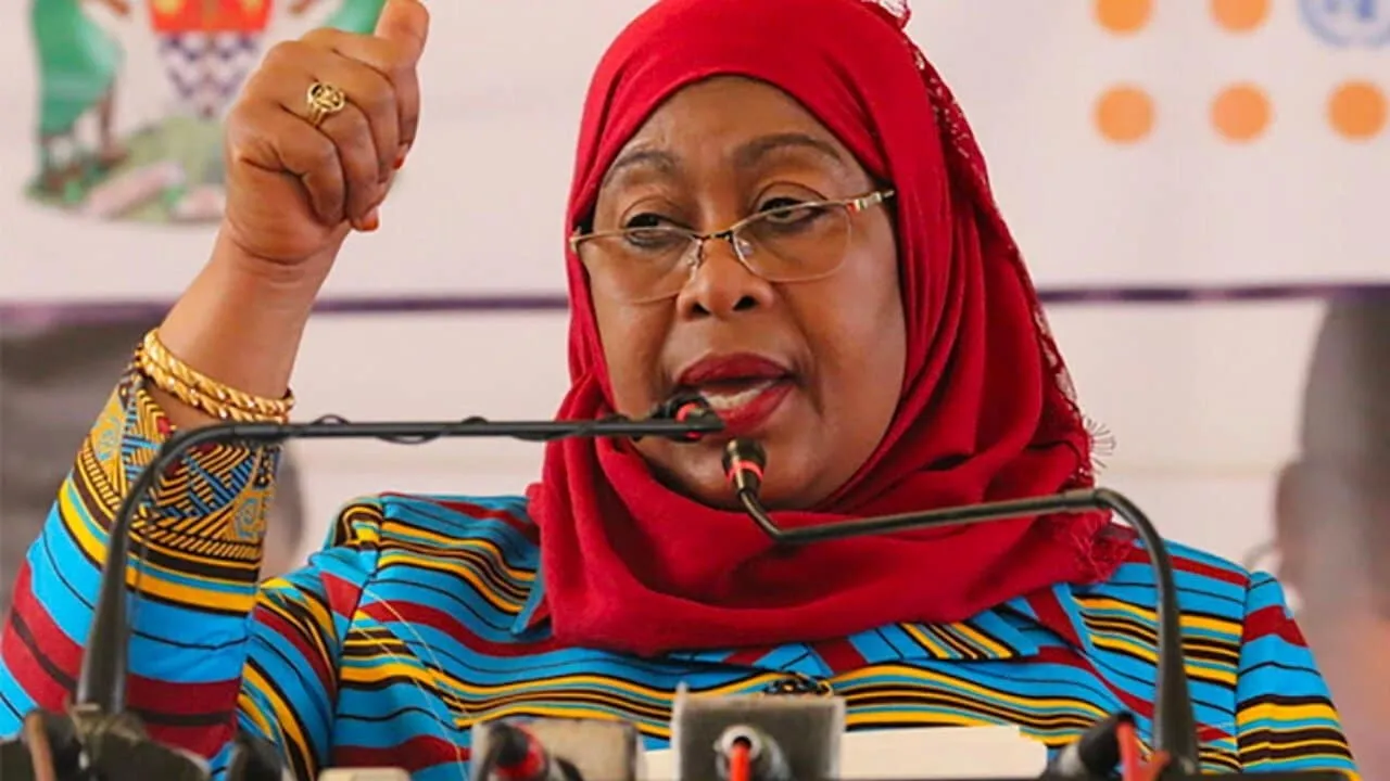 Tanzania Restricts Foreigners from Key Business Sectors to Empower Local Entrepreneurs