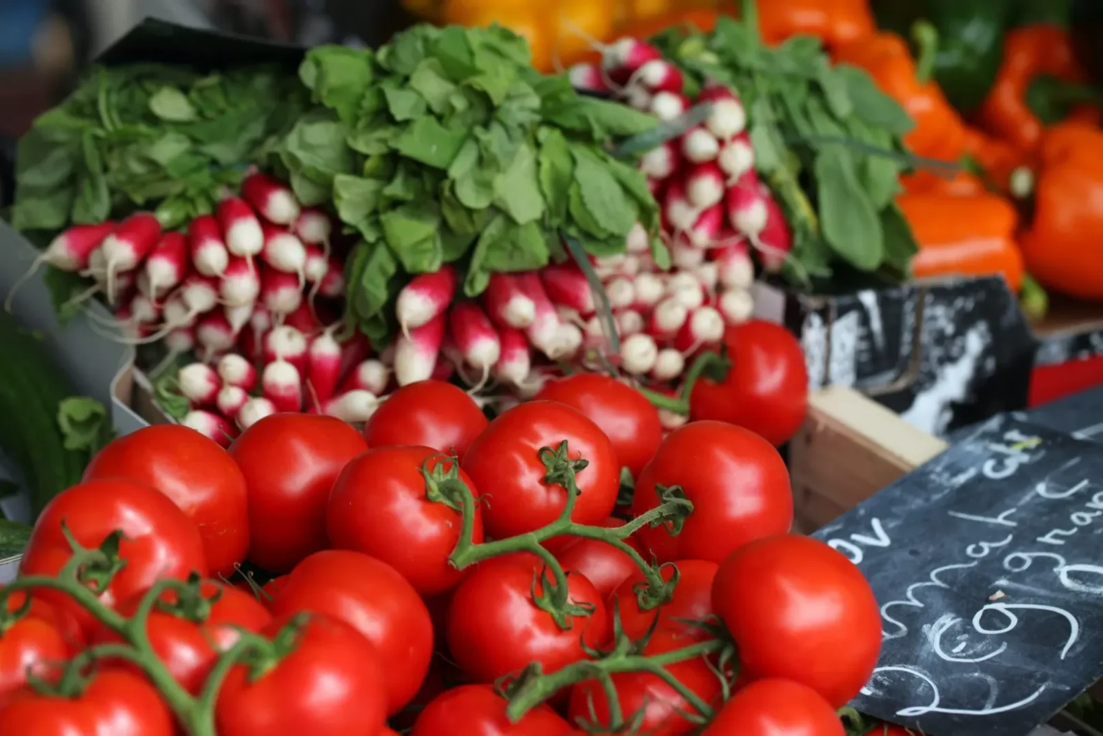 US Tariffs Threaten South Africa's Agricultural Exports: A Wake-Up Call for Trade Policy
