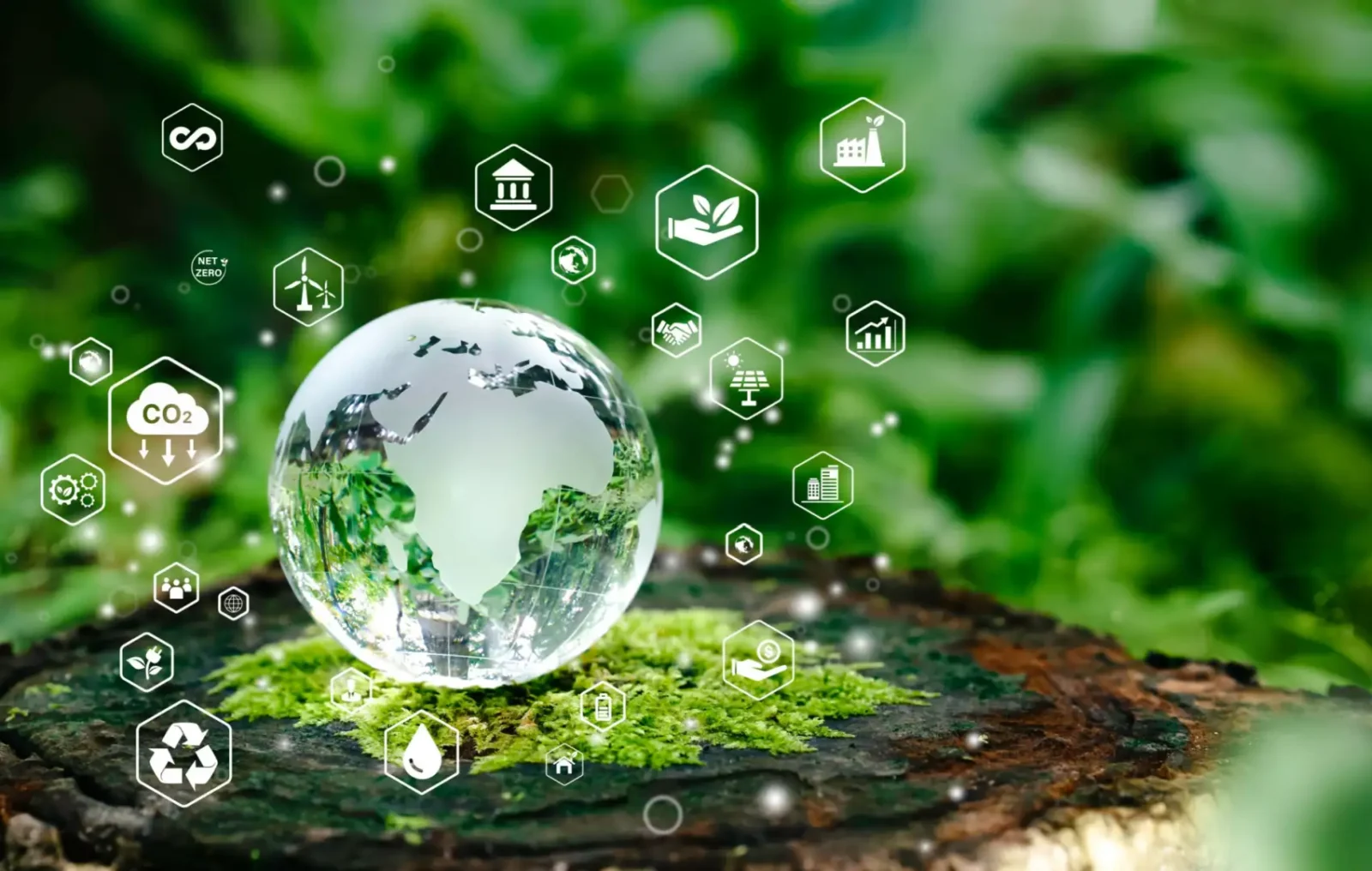 Global Green Economy Surpasses $5 Trillion Milestone, Positioned to Reach $7 Trillion by 2030