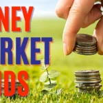 Money Market Fund Performance in Kenya: Adaptation and Evolution in a Changing Rate Environment
