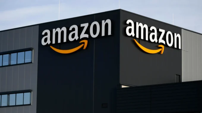 Amazon commits 30 million dollars to rice farming carbon credits in India expanding climate finance into agriculture