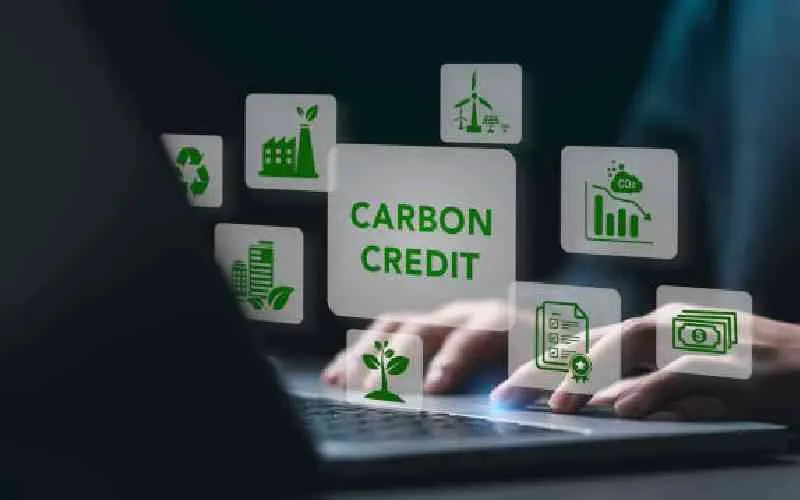 Kenya carbon market faces risk as new global rules threaten 80 billion shillings in revenue