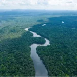 Guyana earns 353 million US dollars from carbon credit sales to fund climate action, forest conservation, and sustainable development