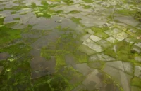 Africa faces economic losses of up to $20 billion from a potential Super El Niño, threatening agriculture, food security, water resources, infrastructure, and regional economic growth