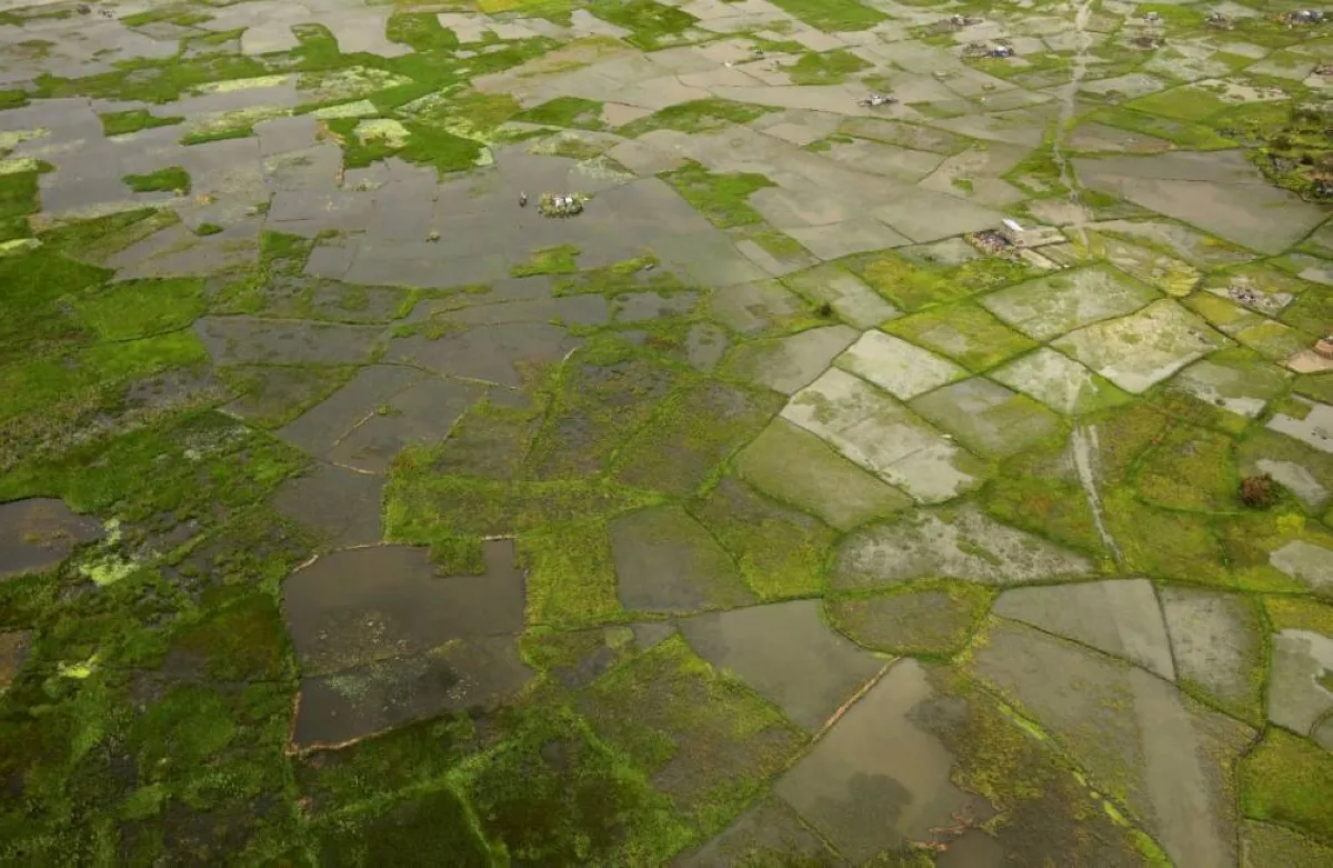 Africa faces economic losses of up to $20 billion from a potential Super El Niño, threatening agriculture, food security, water resources, infrastructure, and regional economic growth