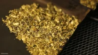 Ghana’s artisanal gold production is on track to surpass the 2025 record, driven by rising output, stronger global gold demand, mining sector reforms, and increased export earnings