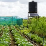 Kenya launches a $263.8 million climate resilience programme to help farmers adapt to climate change, improve food security, and strengthen agricultural productivity.
