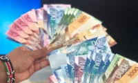 Kenya records its sharpest first-half decline in diaspora remittances since 2009, raising concerns over foreign exchange inflows, household income, and the country’s economic outlook