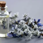 South Africa expands exports of essential oils to global markets, supporting agricultural value addition, export growth, rural enterprises, and the country's natural products industry