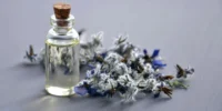 South Africa expands exports of essential oils to global markets, supporting agricultural value addition, export growth, rural enterprises, and the country's natural products industry