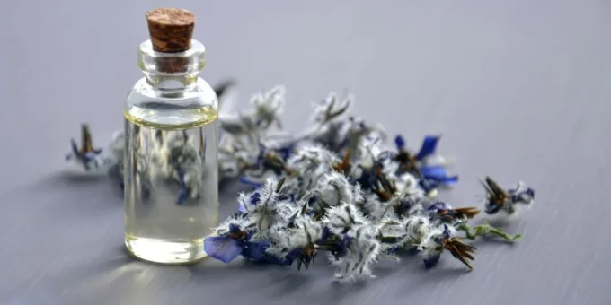South Africa expands exports of essential oils to global markets, supporting agricultural value addition, export growth, rural enterprises, and the country's natural products industry