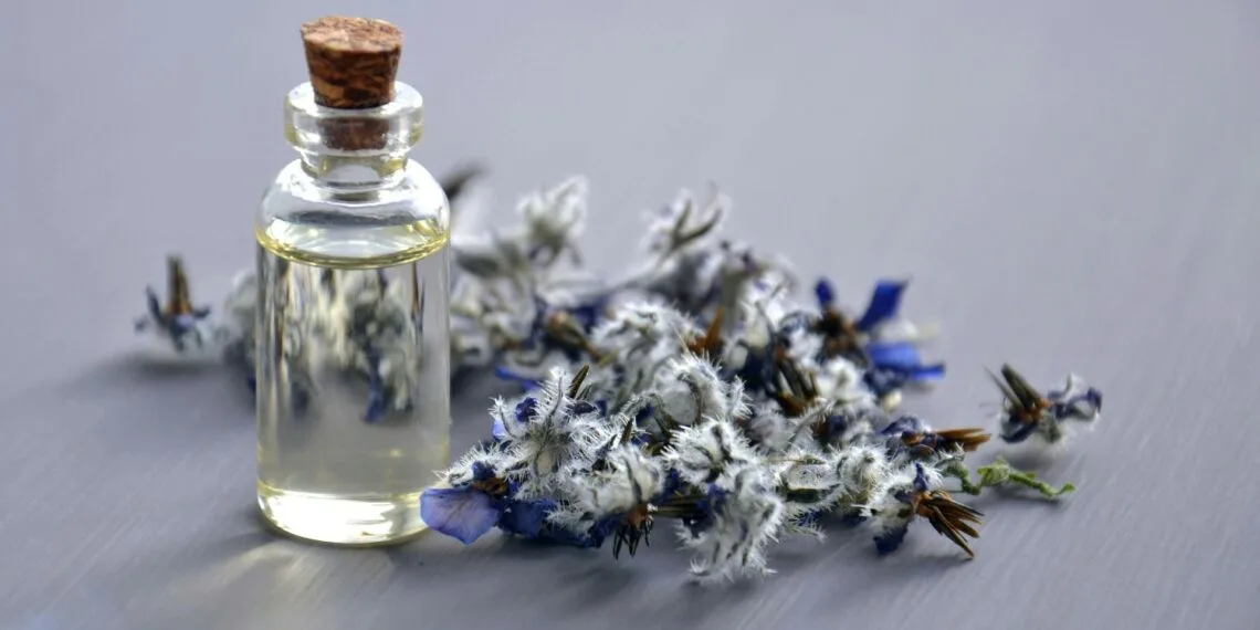 South Africa expands exports of essential oils to global markets, supporting agricultural value addition, export growth, rural enterprises, and the country's natural products industry