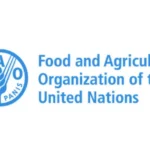 Global food prices decline again as lower grain costs ease international food inflation, influencing agricultural markets, food security, and consumer prices worldwide