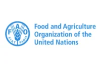 Global food prices decline again as lower grain costs ease international food inflation, influencing agricultural markets, food security, and consumer prices worldwide