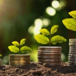 Small green plants growing from stacks of coins on soil with sunlight in the background, representing sustainable investing and green bond financing.
