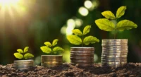 Small green plants growing from stacks of coins on soil with sunlight in the background, representing sustainable investing and green bond financing.
