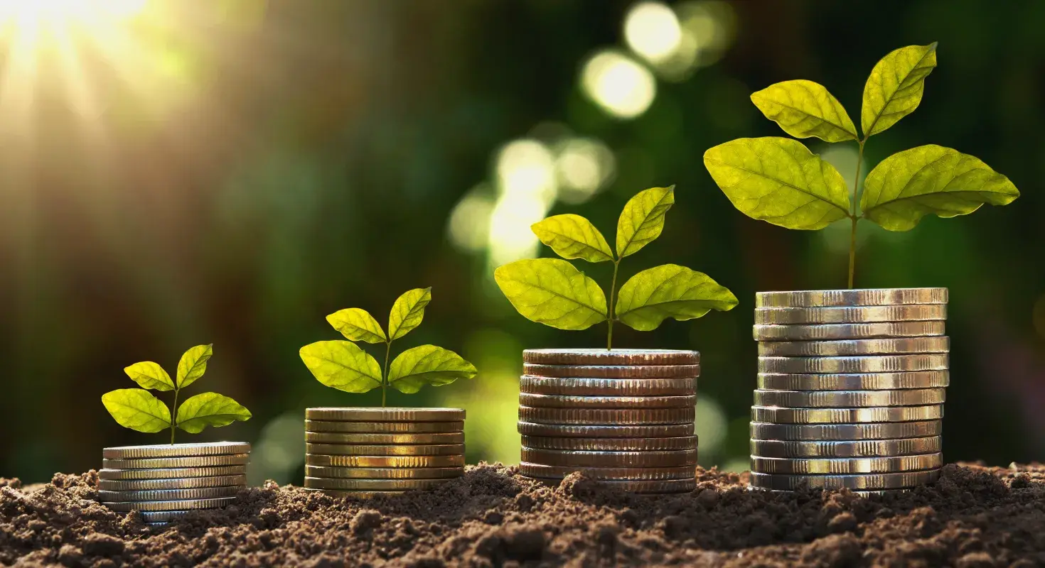 Small green plants growing from stacks of coins on soil with sunlight in the background, representing sustainable investing and green bond financing.