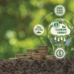 Kenya introduces a new Article 6 framework that caps carbon credit exports while strengthening oversight of international carbon market transactions.