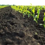 Kenya targets KSh100 billion to build a national bioeconomy, supporting biotechnology, agriculture, healthcare, green innovation, research, manufacturing, and sustainable economic growth