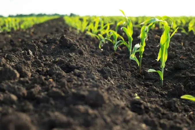 Kenya targets KSh100 billion to build a national bioeconomy, supporting biotechnology, agriculture, healthcare, green innovation, research, manufacturing, and sustainable economic growth