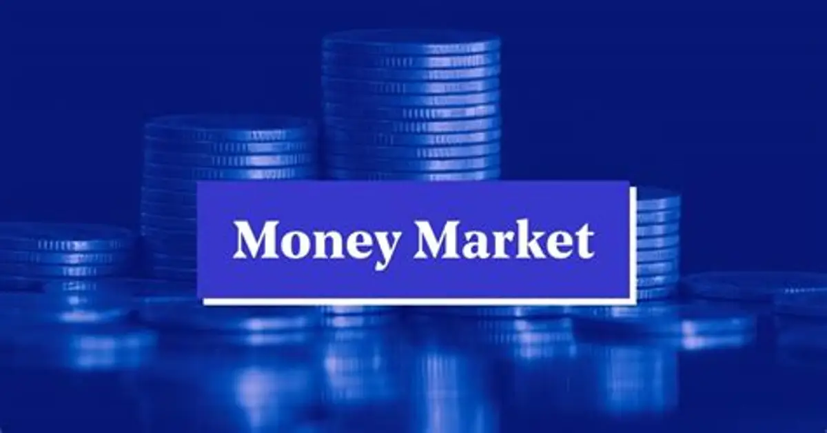 Blue-toned image of stacked coins with a “Money Market” label, representing money market funds, short-term cash investments, liquidity management and low-duration investment products.