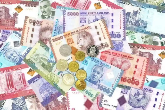 Tanzania opens its government bond market to global investors, expanding foreign participation and access to domestic fixed-income securities