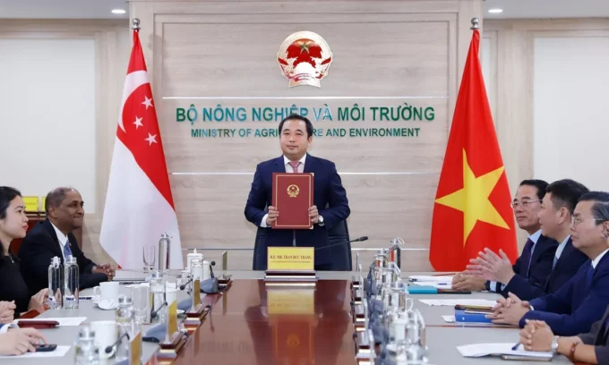 Vietnam and Singapore strengthen cooperation on Article 6 carbon markets to support carbon trading, climate finance, and emissions reduction.