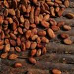 Ghana cocoa output faces a sharp drop due to adverse weather and disease, highlighting cocoa production, agricultural losses, farmer livelihoods, and global commodity supply
