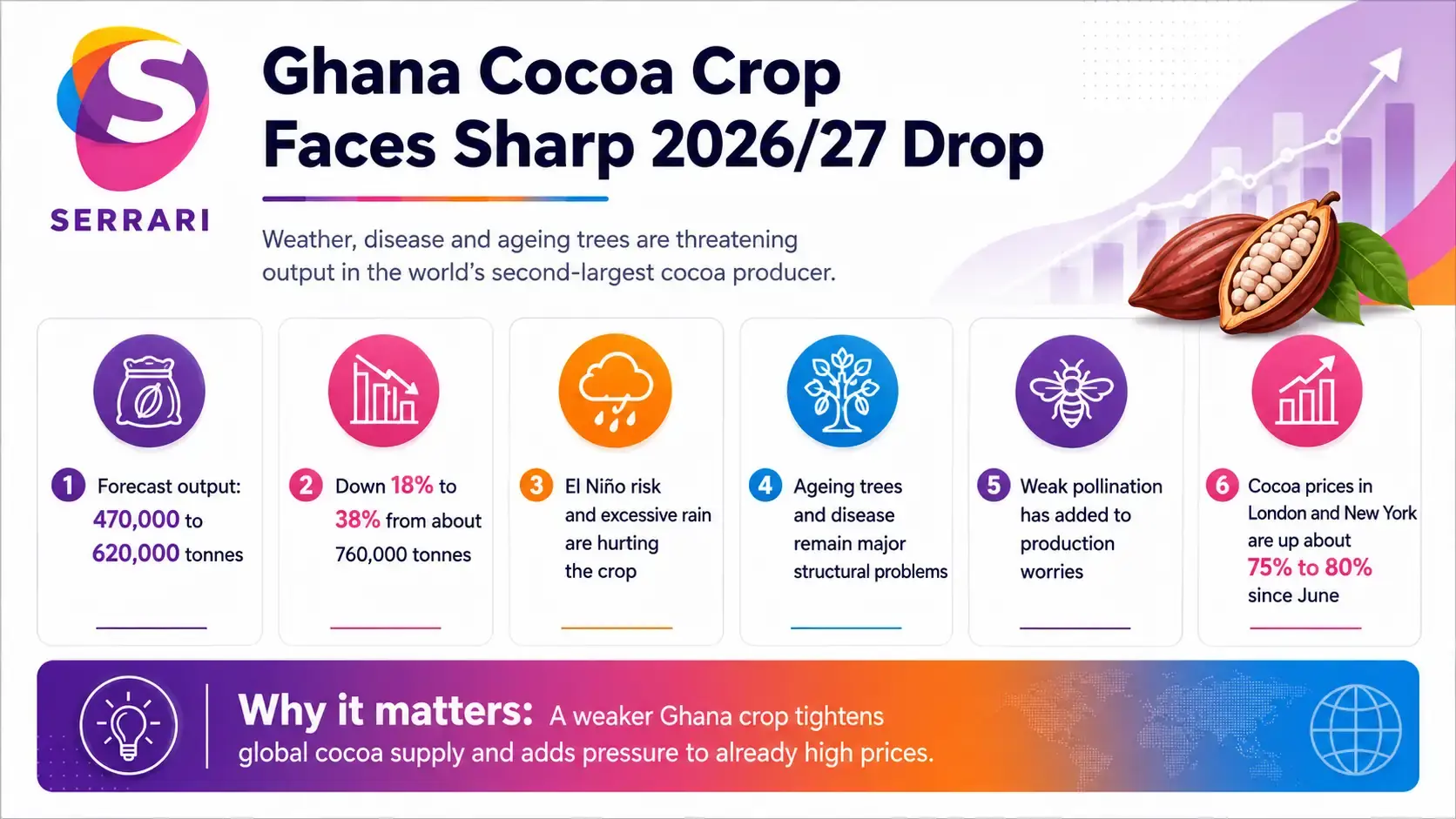 Infographic showing Ghana’s cocoa output decline from weather and disease, highlighting cocoa production, crop losses, farmers, agricultural conditions, and global supply