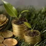 Income Insurance commits $527.9 million to green and climate-related investments as it advances its climate transition financing strategy.
