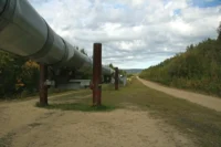 Serbia completes procurement for the Serbian section of the planned oil pipeline linking Hungary with Novi Sad and the wider Serbian oil network.
