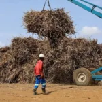 South Africa raises its sugar import protection to $785 a ton, affecting domestic sugar producers, import costs, agricultural policy, and the local sugar market