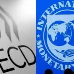 IMF and OECD Warn AI Could Widen Global Wealth Divide